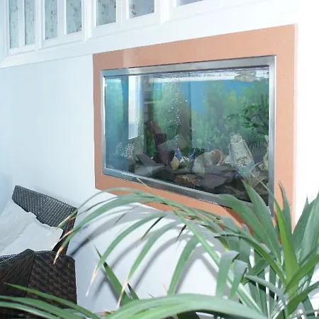 Vistamar Santo Tomás