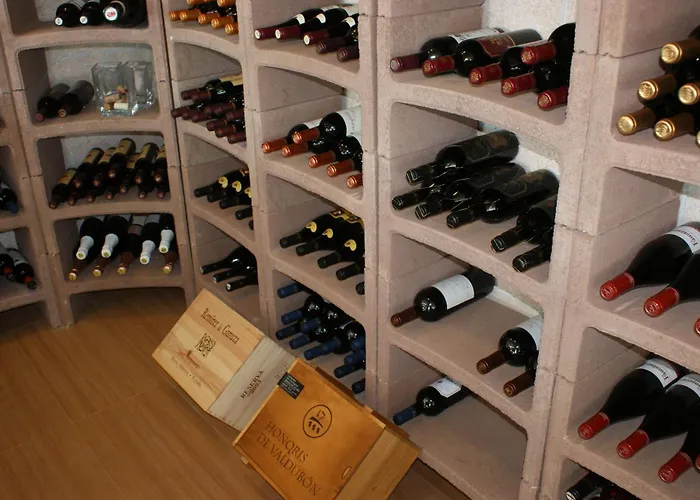 公寓式酒店 维斯塔玛尔公寓 圣托马斯