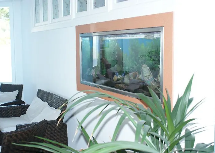 Vistamar Santo Tomás